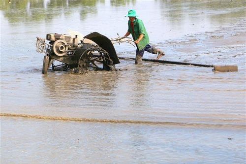 Thứ trưởng Lê Quốc Doanh: Nông dân nên xuống giống sớm để né mặn