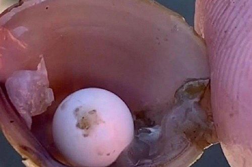Phát hiện viên ngọc hiếm khi đang chơi đùa ở bờ sông