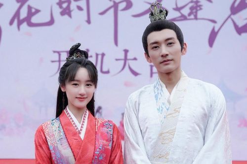 Rộ tin Viên Băng Nghiên vượt sóng thành công, khán giả lại được dịp mỉa mai có tư bản chống lưng