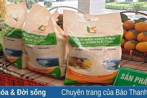 Khẳng định thương hiệu gạo Thanh Hóa