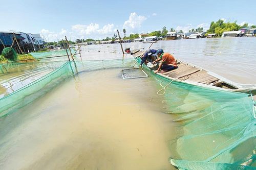 Bấp bênh nghề đóng đáy sông sâu