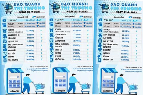Dạo quanh thị trường 22-9-2022