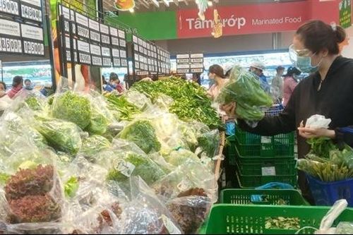 TP Hồ Chí Minh vào cuộc kiểm tra rau đạt chuẩn VietGAP dởm