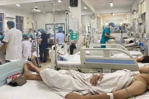 Dịch truyền đặc trị sốc sốt xuất huyết về tới Việt Nam