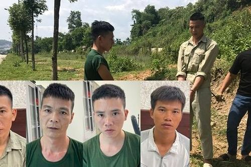 Bắt 4 'thợ đào đường' chuyên trộm cắp dây cáp điện