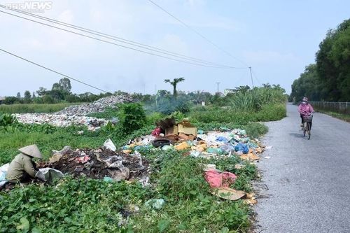 Bãi rác gần sông Đa Độ bốc mùi hôi thối, trở thành nỗi ám ảnh của dân Hải Phòng