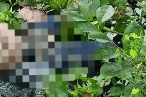 Nam thanh niên tử vong sau khi đi đám tang gần nhà
