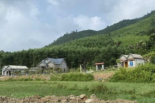 Công an vào cuộc vụ đất nông nghiệp bị san lấp trái phép