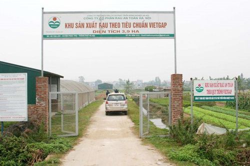 'Rau bẩn' vào siêu thị: Cần xử lý nghiêm để bảo vệ nông nghiệp sạch