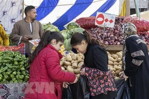 Thế giới cần phá thế độc quyền trong hệ thống lương thực toàn cầu