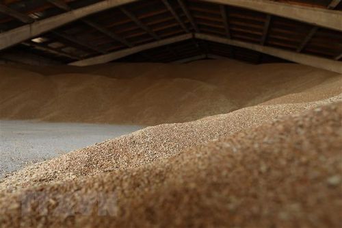 CEO của Oxfarm kêu gọi thay đổi hệ thống lương thực thế giới