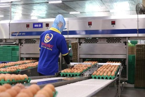 Doanh nghiệp chăn nuôi chuyển đổi số