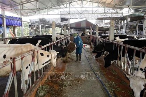 Bình Thuận kiên quyết thu hồi dự án gần 3.000 tỷ đồng do chậm triển khai
