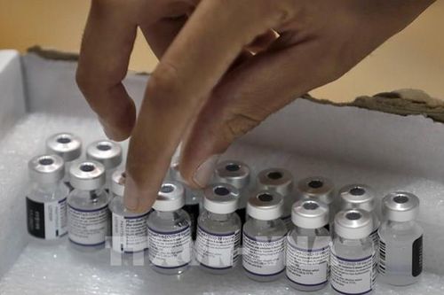 Pfizer giảm số lượng vaccine ngừa COVID-19 bàn giao cho Chính phủ Mỹ