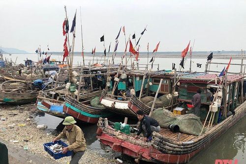 Chuyện làng biển