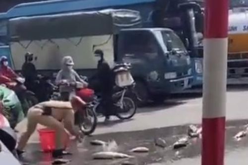 CSGT Hà Nội nhặt giúp dân hơn 1 tạ cá bị đổ giữa đường