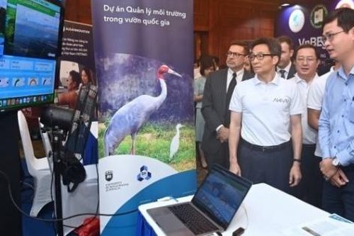 AI phục hồi kinh tế, định hình tương lai