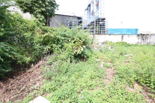 Di tích 300 tuổi ở TP.HCM thành phế tích