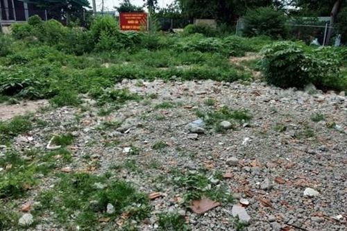 Báo động di tích xuống cấp trầm trọng