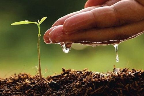 Giáo dục trẻ dưới góc nhìn tâm lý học