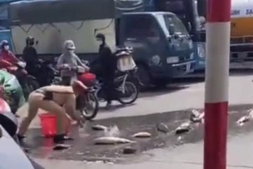 CSGT Hà Nội nhặt giúp dân hơn 1 tạ cá bị đổ giữa đường