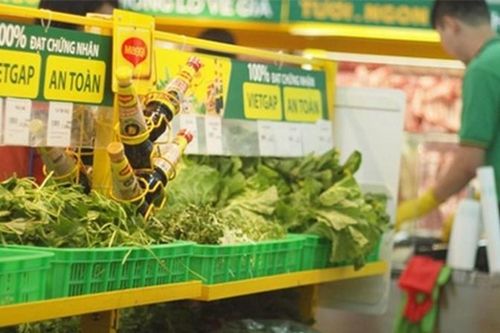Vụ rau 'dỏm' phù phép vào Bách Hóa Xanh: DN cần gì để có chứng nhận VietGap?