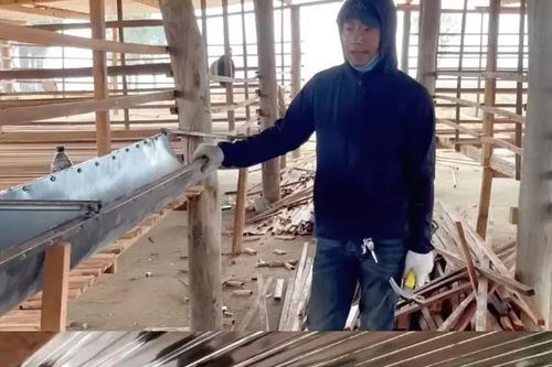 Cận cảnh trang trại nuôi dê của Quang Linh Vlogs tại Châu Phi