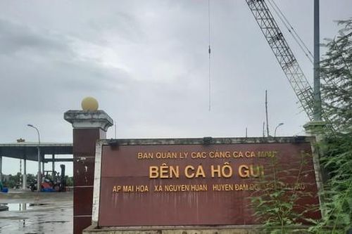 Cà Mau: Bến cá đầu tư 70 tỷ đồng bỏ hoang vì thiếu đường kết nối
