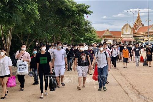 Tiếp nhận 226 công dân bị lừa gạt, lôi kéo sang Campuchia làm việc về nước