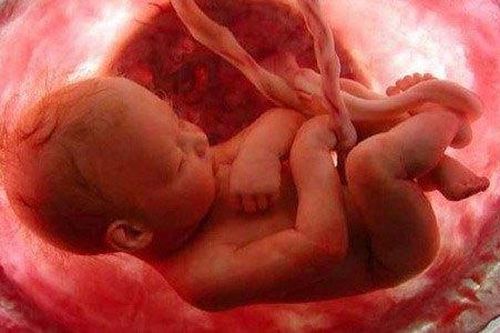 Phát hiện bằng chứng đầu tiên về phản ứng với mùi vị của thai nhi