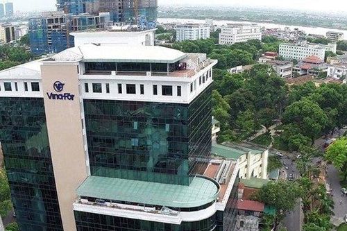 Vinafor bị xử phạt, truy thu thuế hơn 1,3 tỷ đồng