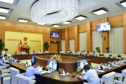Đánh giá tình trạng đầu tư ồ ạt điện gió, điện mặt trời