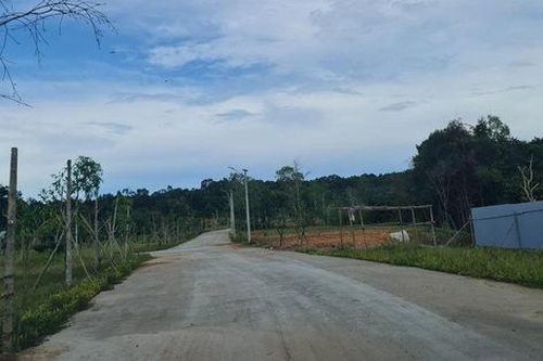 'Xẻ thịt' đất trồng cây công nghiệp để phân lô ở xã Cửa Cạn, TP Phú Quốc