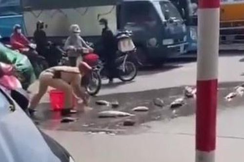 CSGT Hà Nội nhặt hơn một tạ cá giúp người đi đường