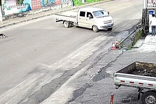 Tránh chú chó qua đường, xe tải lao lên vỉa hè tông loạn xạ