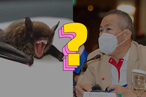 Virus bí ẩn giống SARS-CoV-2 được phát hiện tại nước nào?