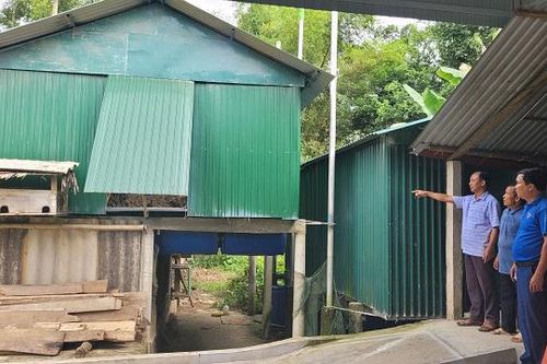 Hà Tĩnh: Nhà phao 'cứu cánh' cho người dân nơi rốn lũ Hương Khê