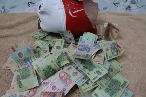Trộm nhí chui lỗ thông gió, cuỗm lợn tiết kiệm hơn 10 triệu đồng