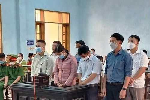 Loạt quan chức địa phương lĩnh án vì cấp sổ đỏ cho hồ sơ giả