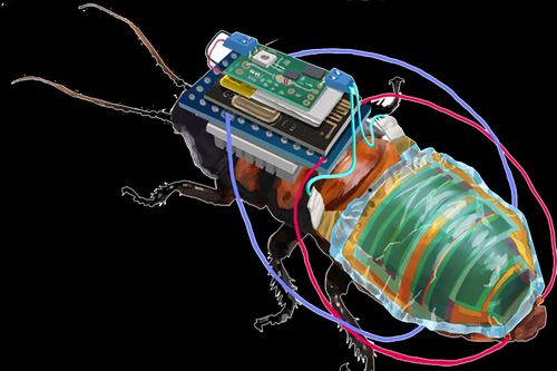 Nhật Bản phát triển gián cyborg để thực hiện các nhiệm vụ đặc biệt