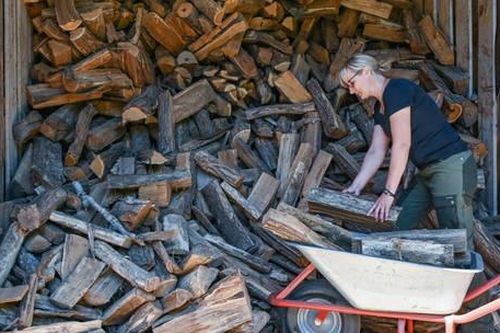 Giá củi tại Đức tăng mạnh trước dự báo mùa Đông giá lạnh