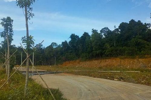 Phân lô nền trái quy định tại xã Cửa Cạn (TP Phú Quốc): Làng hoa nhưng chỉ thấy nhà