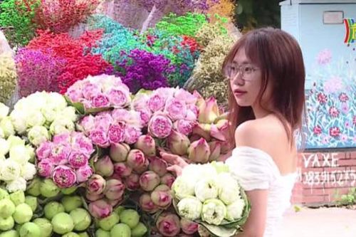Vẻ đẹp Thu Hà Nội