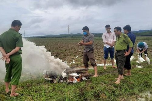 Quảng Bình: Ngăn chặn nạn tận diệt chim trời
