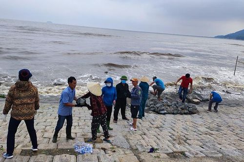 Hà Tĩnh huy động nhân lực gia cố kè biển Cẩm Nhượng bị sạt lở