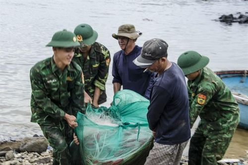 Quảng Ngãi triển khai quyết liệt các biện pháp dự phòng trước khi bão vào đất liền