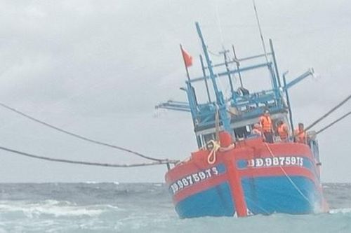 Tàu cá Bình Định bị sóng lớn đánh dạt vào bãi cạn, 4 ngư dân cầu cứu khẩn