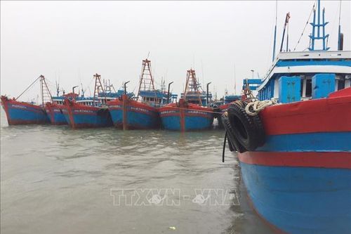 Từ 17 giờ ngày 26/9, Nghệ An cấm các loại tàu thuyền ra khơi
