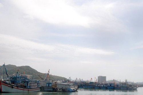 Phòng chống bão Noru: Khánh Hòa thực hiện cấm biển từ 14h ngày 27/9