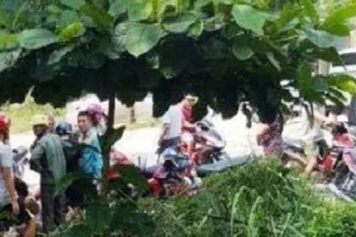 Phát hiện thi thể mẹ đẻ 95 tuổi được chôn bất thường trong vườn nhà con trai